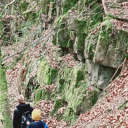 Land-apartments Netphen