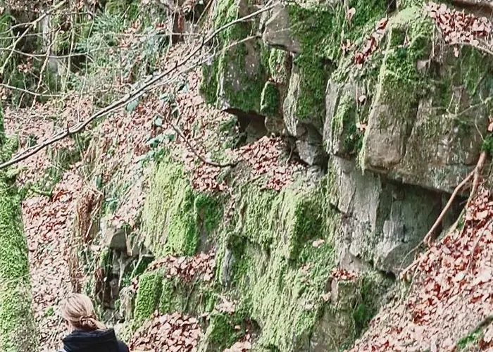 Land-apartments Netphen